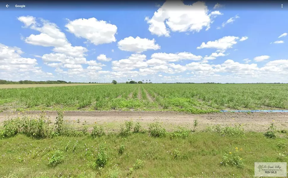 N. 3.5 MI. RABB RD., Santa Rosa, TX 78593