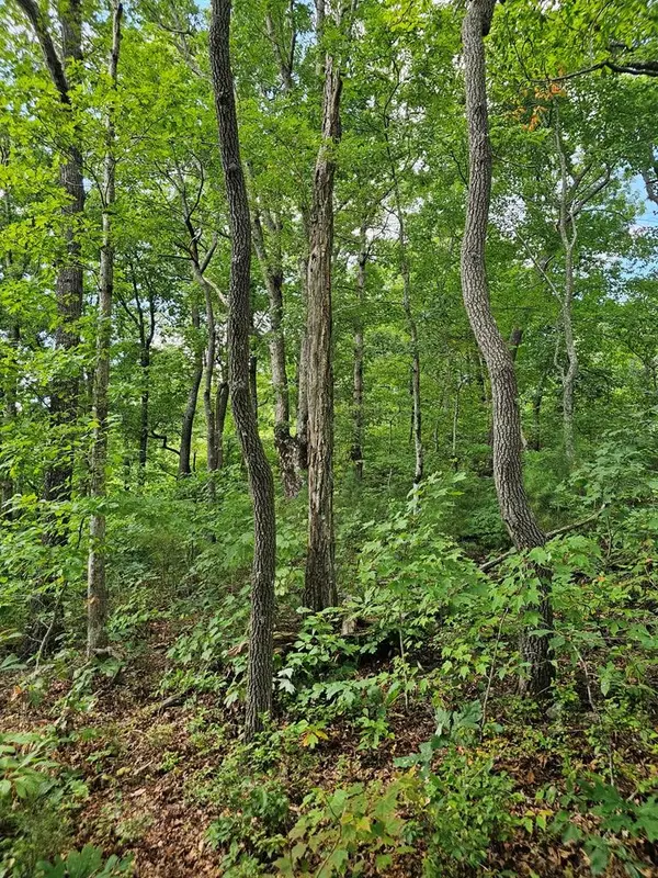 Ellijay, GA 30536,0 Lot 272 Andes Ridge