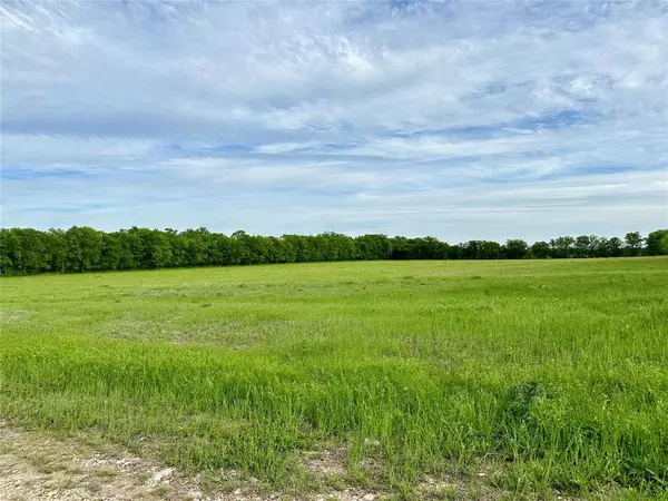 Sanger, TX 76266,Lot 2 Cashs Mill Road