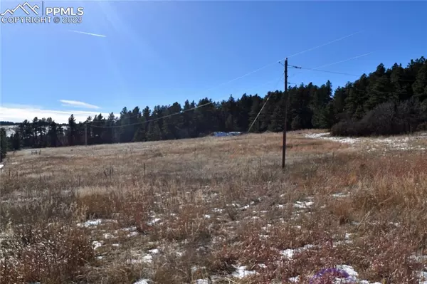 12778 Greenland Acres RD, Larkspur, CO 80118