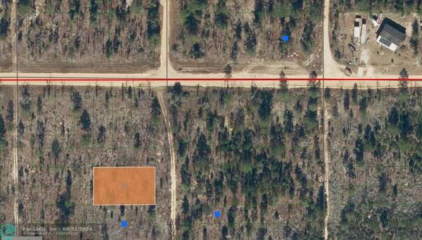 0 Unassigned, Hawthorne, FL 32640