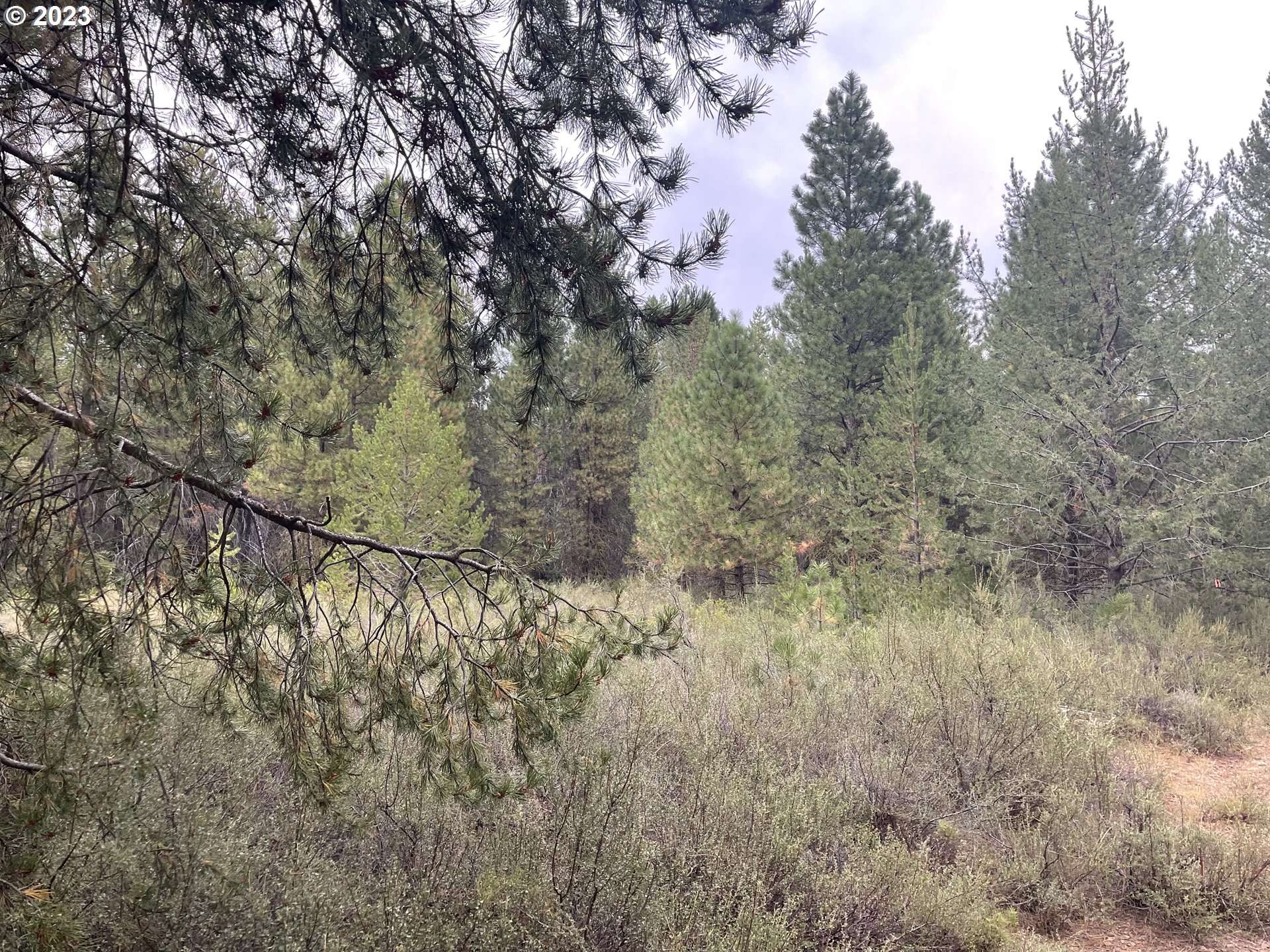Mountain Lakes DR #5, Klamath Falls, OR 97601