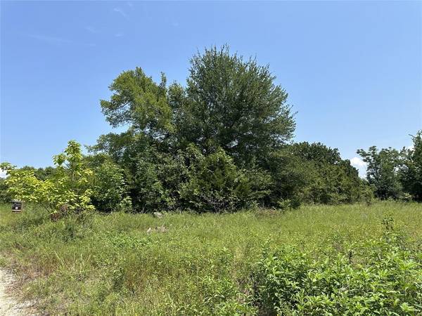 Lot 433 TBD private road 7028,  Wills Point,  TX 75169