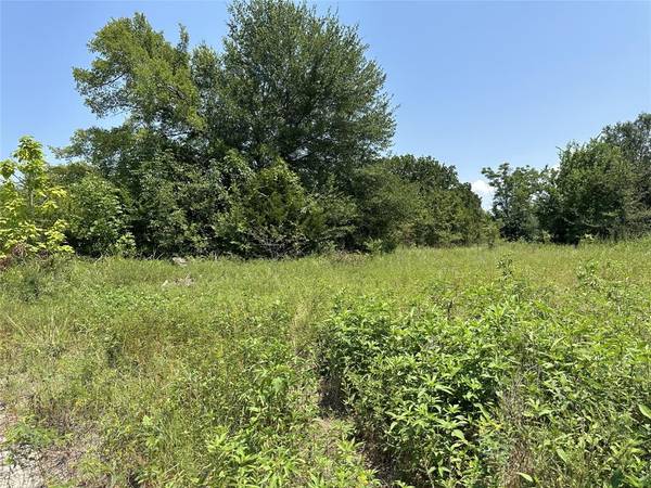 Lot 432 TBD Private Road 7028,  Wills Point,  TX 75169