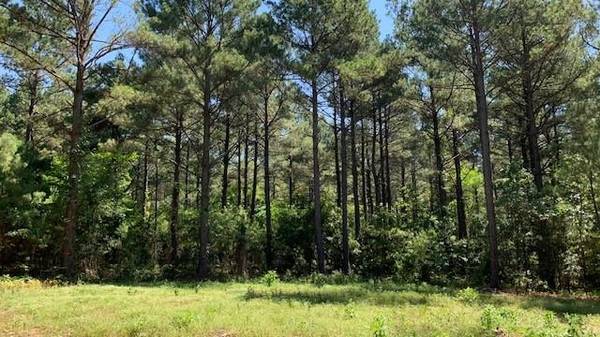 Lot 120, Broken Bow, OK 74728