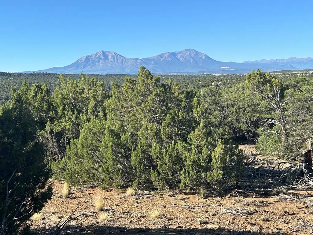 Walsenburg, CO 81089,Lot 12 City Ranch Property