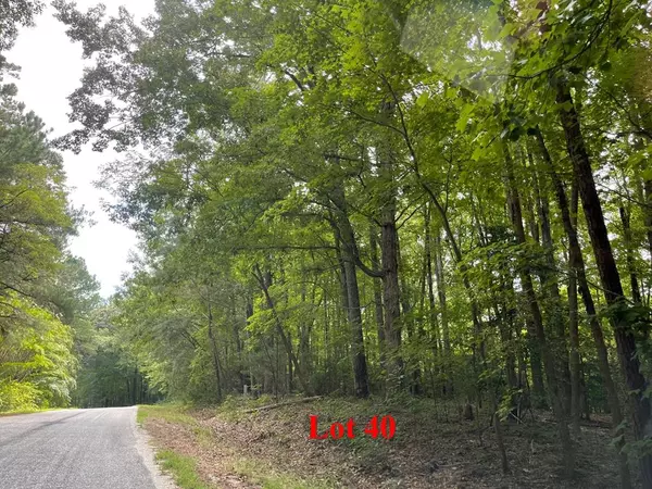 Lot 40 Wicomico DR, Heathsville, VA 22473