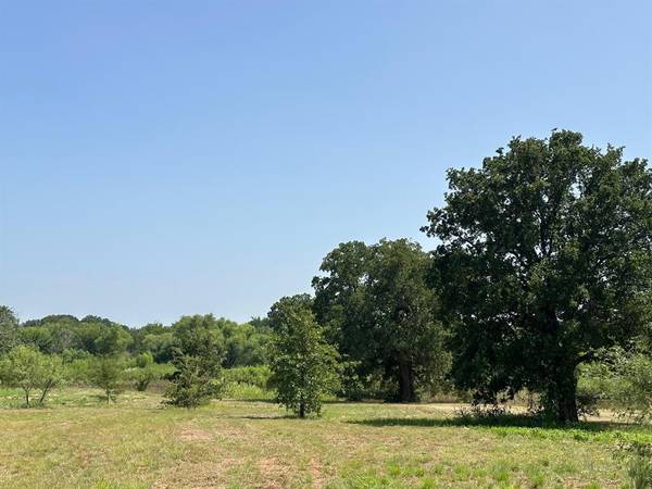 Nocona, TX 76255,00007 Lago Lane