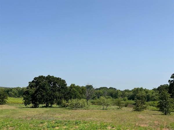 Nocona, TX 76255,00007 Lago Lane