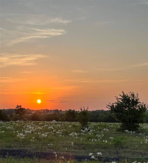 Farmersville, TX 75442,TBD Lot 1 County Road 703