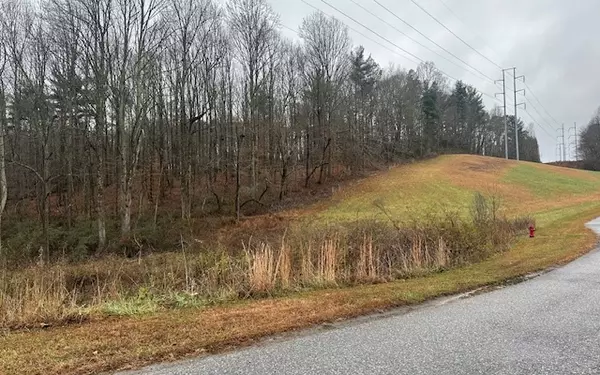 Blairsville, GA 30512,103 The Arbor