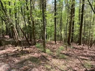 Lot 3617 Fir Lane, Ellijay, GA 30540