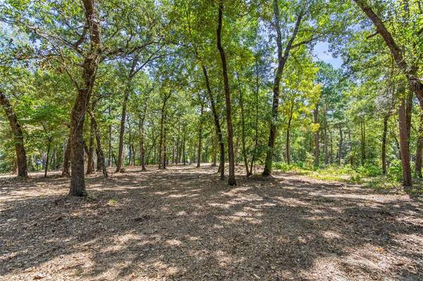 Larue, TX 75770,3256 Shadow Pine Drive