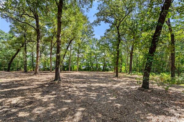 Larue, TX 75770,3256 Shadow Pine Drive