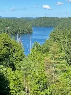 Murphy, NC 28906,1001 Lake Apalachia Acres