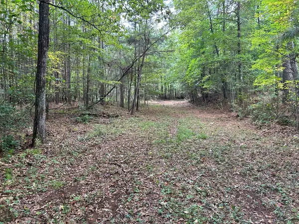 Mccaysville, GA 30555,21.43AC Blue Tick Road