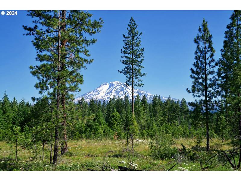 BYRKETT RD #2, Trout Lake, WA 98650