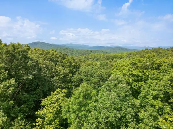 Blue Ridge, GA 30513,4 Acres Price Road