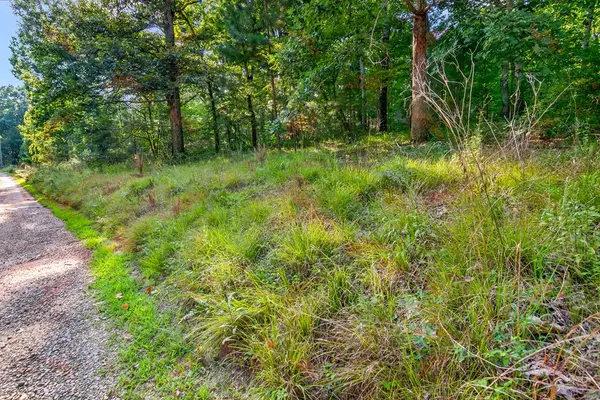 Ellijay, GA 30540,lot 6 Mission Hill