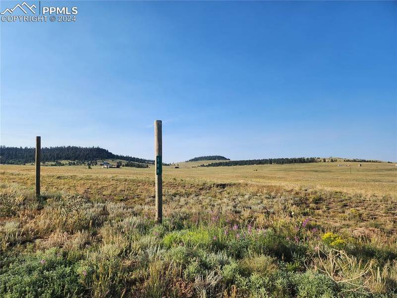 388/446 Cohonina RD, Hartsel, CO 80449