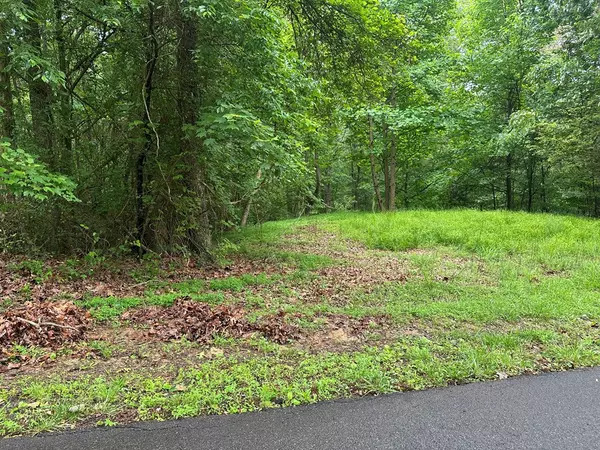 Ellijay, GA 30540,Lot 40 Timberwalk Drive