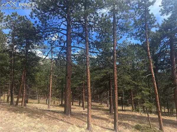 Woodland Park, CO 80863,271 Thunder Ridge DR