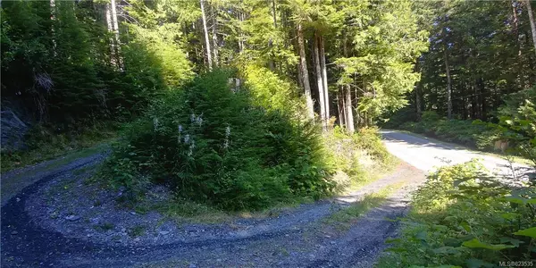 Port Renfrew, BC V0S 1N0,LOT 8 Parkinson Rd