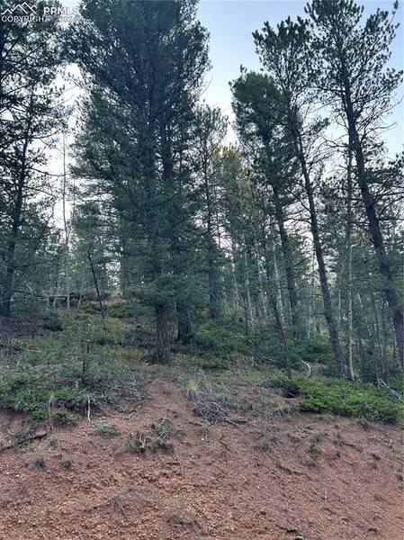 83 Sodalite RD, Divide, CO 80814