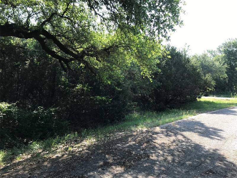 25084 Woodhaven Drive, Whitney, TX 76692