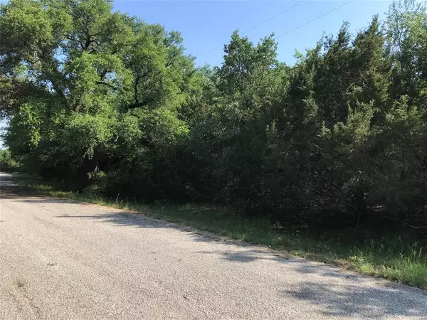 Whitney, TX 76692,25084 Woodhaven Drive