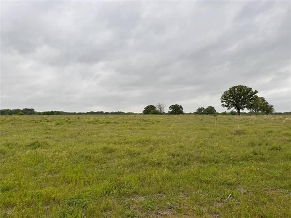 Alba, TX 75410,LOT 6 Rains County Rd 2610