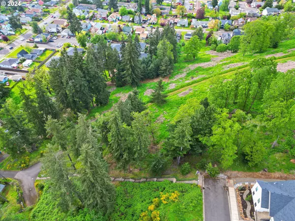 Silverton, OR 97381,0 Chikamin LOOP