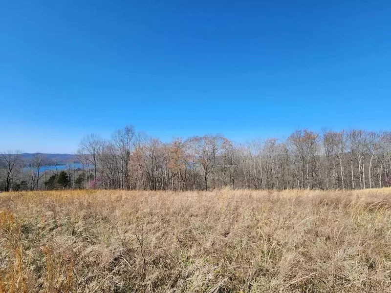 Lot 46B Bald Eagle Lane, Hilham, TN 38568