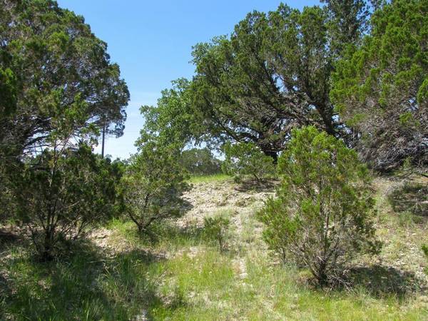 Evant, TX 76525,Lot 63 Phase 6 PR 42107