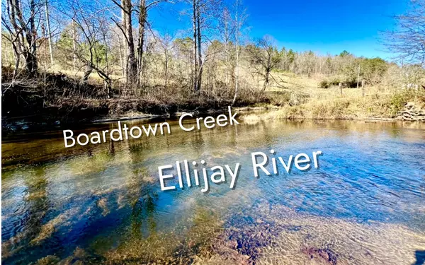 Cherry Log, GA 30522,LOT 5 River Escape Trail