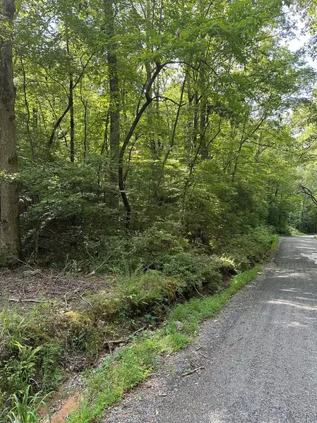 Lot 29 Owltown Road, Ellijay, GA 30541