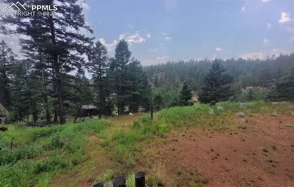 Florissant, CO 80816,30 Spruce CIR