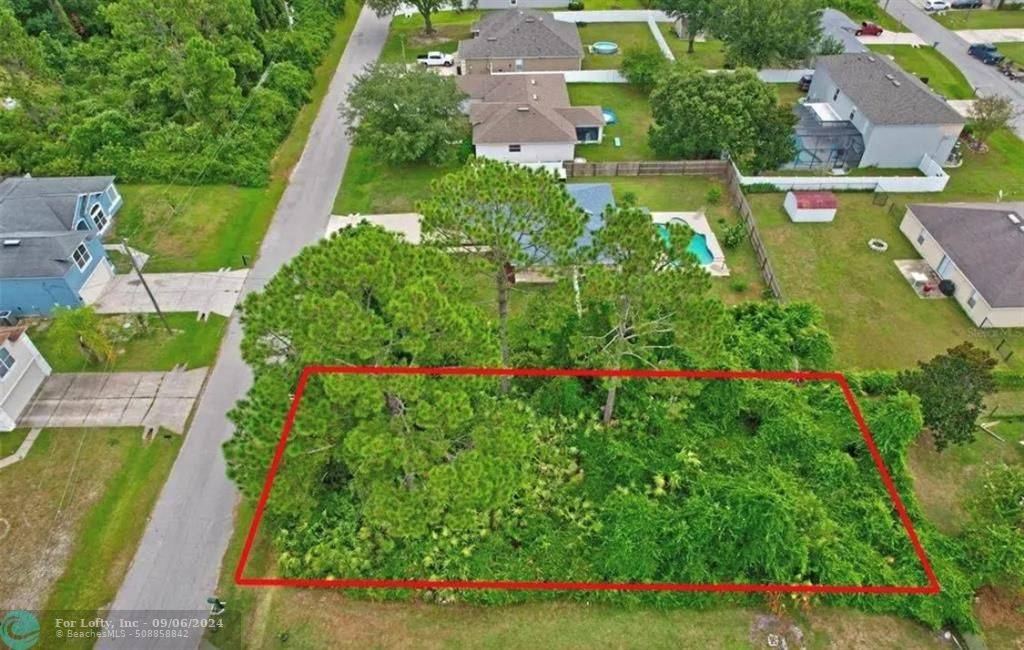 Other City - In The State Of Florida, FL 32164,Address not disclosed
