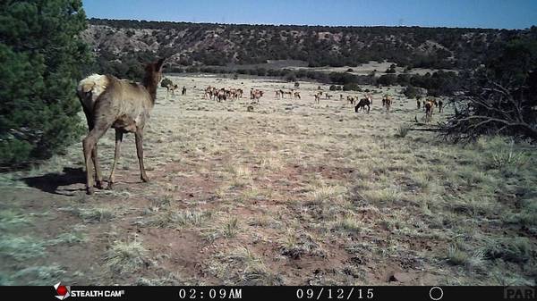 Lot #26 Colorado Land and Grazing, Gardner, CO 81040