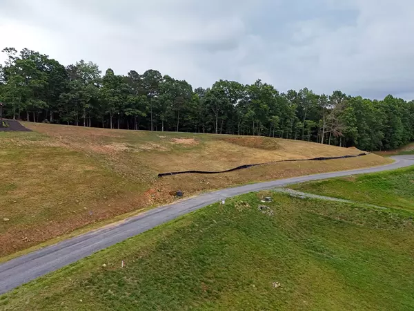 Morganton, GA 30560,Lot 52 Upper Ridge Trail