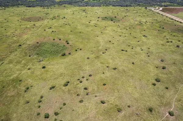 Hallettsville, TX 77964,83 Acres County Rd 18