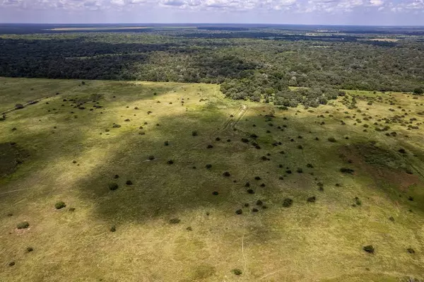 Hallettsville, TX 77964,83 Acres County Rd 18