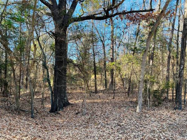 Lot 32 & 33 Winding Lane, Mount Vernon, TX 75457