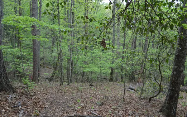 LOT 11 North Ridge Trail,  Brasstown,  NC 28902