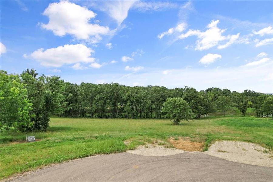 Lot 32 & 33 & BS 24 Lake Ridge Drive, Streetman, TX 75859