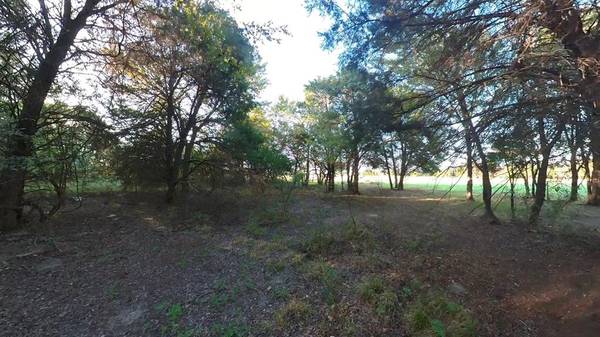 Corsicana, TX 75109,Lot 49 Caddo Trail