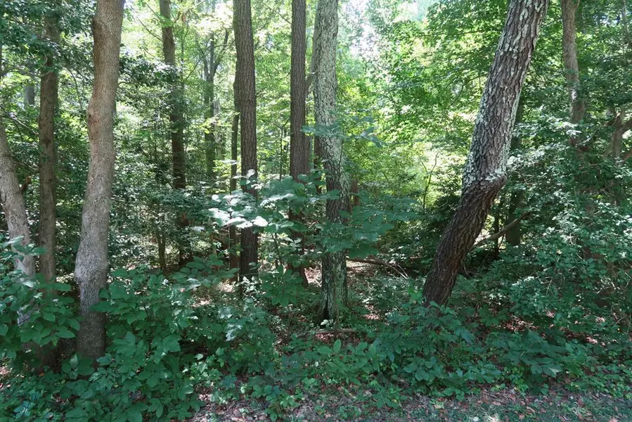 Lot 3 Iberis RD, Lancaster, VA 22503