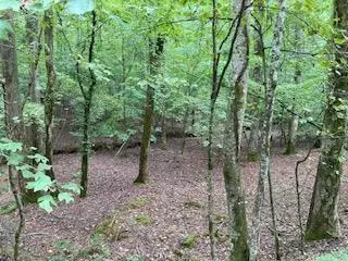 LOT 3093 Monocle Drive, Ellijay, GA 30540