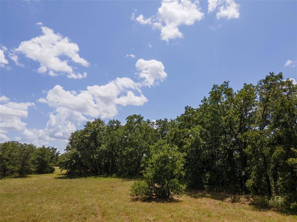 Alvord, TX 76225,109 Coyote Cave Lane