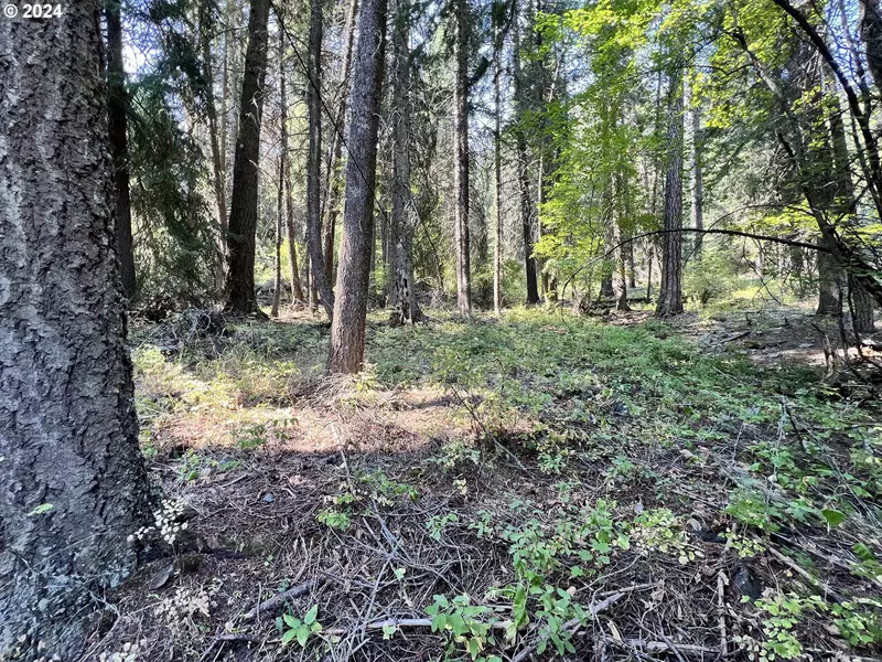 Wilderness RD, Wallowa Lake, OR 97846